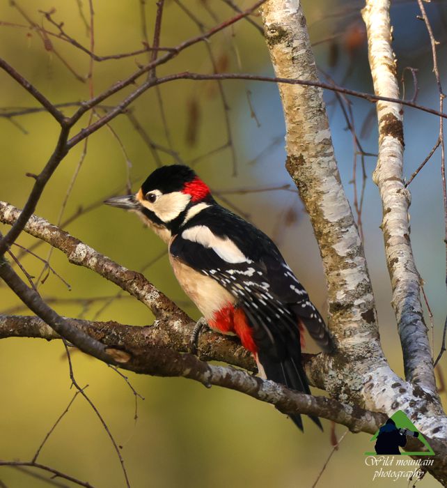 Ε.Π. Ροδόπης topoguide