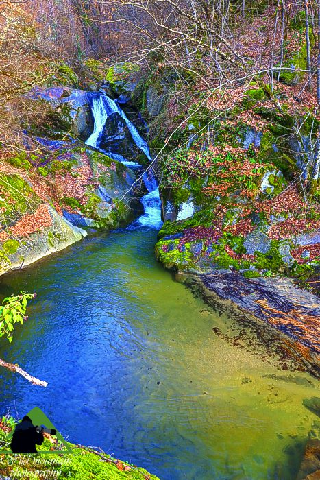 Ε.Π. Ροδόπης topoguide