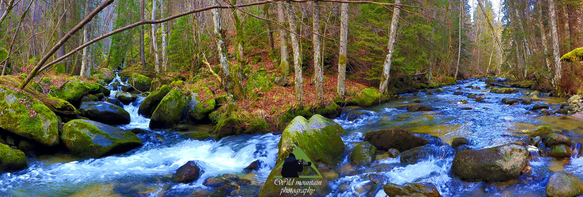 Η οροσειρά της Ροδόπης: Άθροισμα από πολλές ρεματιές και ποταμάκια, το Βαθύρεμα γίνεται σταδιακά ένα βουερό ορεινό ποτάμι