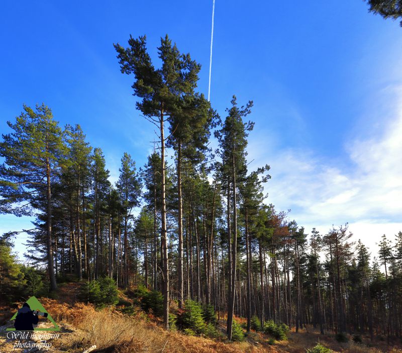 Ε.Π. Ροδόπης topoguide