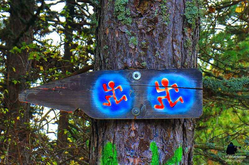 Ε.Π. Ροδόπης topoguide