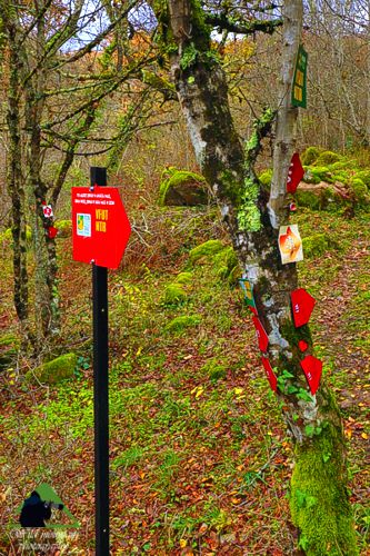 Ε.Π. Ροδόπης topoguide