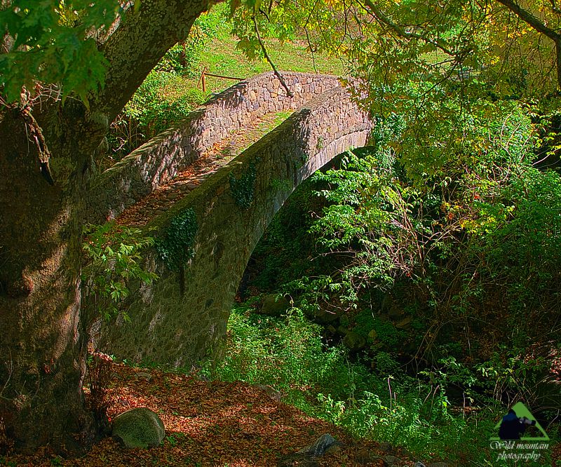 Ε.Π. Ροδόπης topoguide