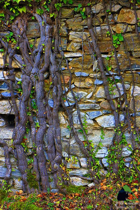 Ε.Π. Ροδόπης topoguide