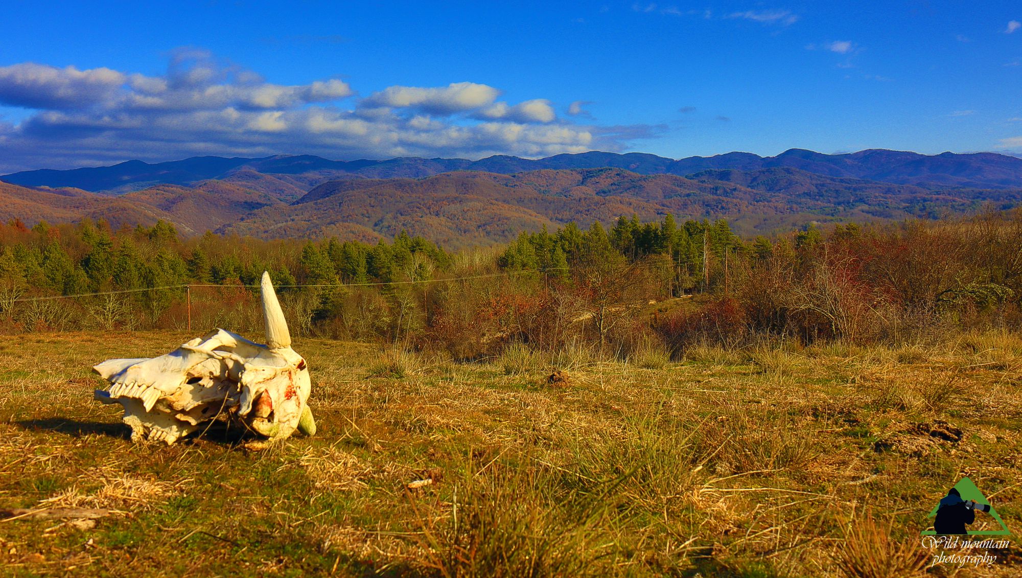 Η οροσειρά της Ροδόπης: Το κτηνοτροφικό τοπίο στο Οροπέδιο, με φόντο τις κορυφές της Ελατιάς
