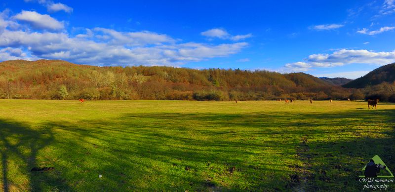 Ε.Π. Ροδόπης topoguide