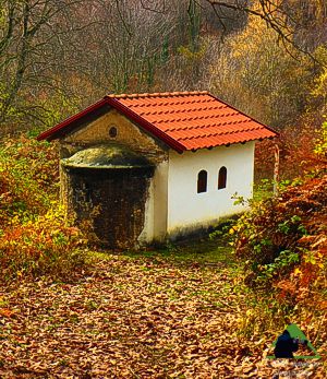 Ε.Π. Ροδόπης topoguide