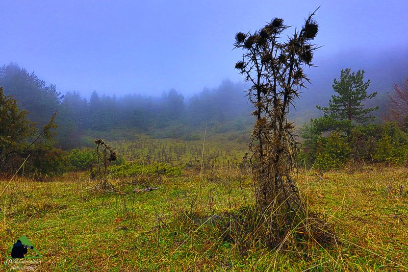 Ε.Π. Ροδόπης topoguide