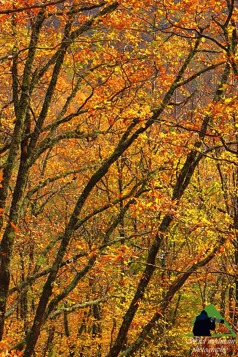 Ε.Π. Ροδόπης topoguide