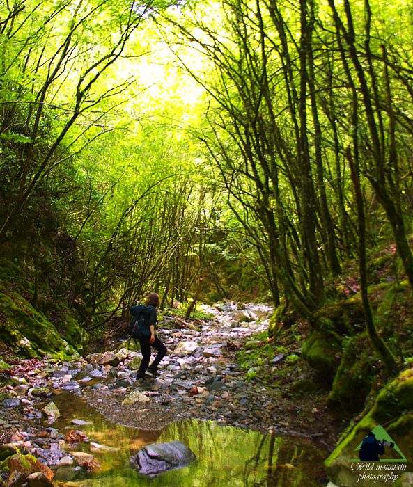 Εθνικό Πάρκο Οροσειράς Ροδόπης