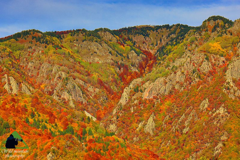 Ε. Π. Ροδόπης topoguide