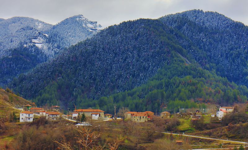 Βόιο-Κυψέλη