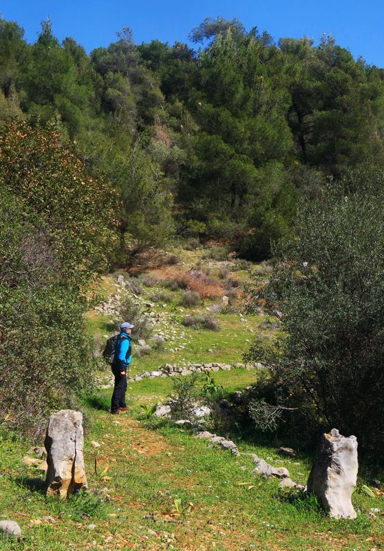 Επίδαυρος topoguide: Αρχαίος δρόμος Επιδαύρου