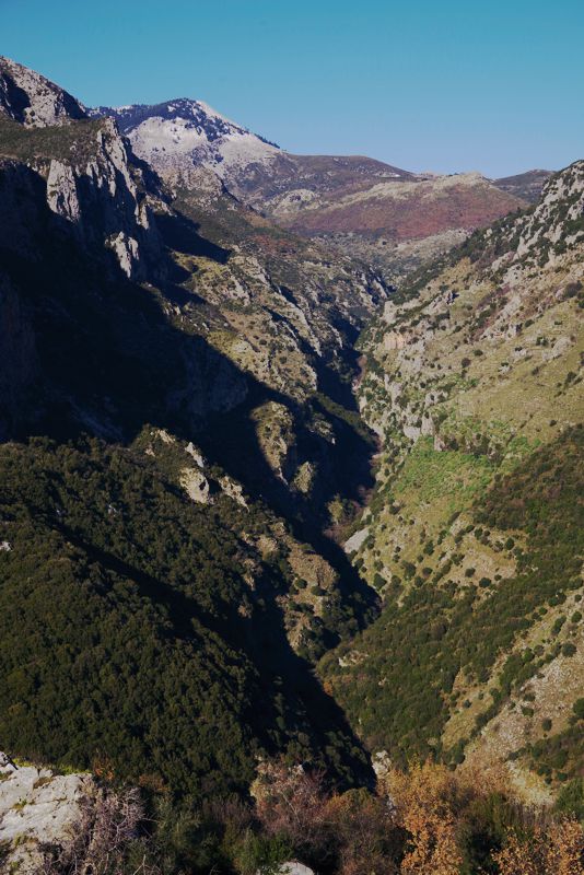 Μάνη-Αβία. Το ανώτερο τμήμα της χαράδρας της Κοσκάραγας Μάνη: Αβία topoguide