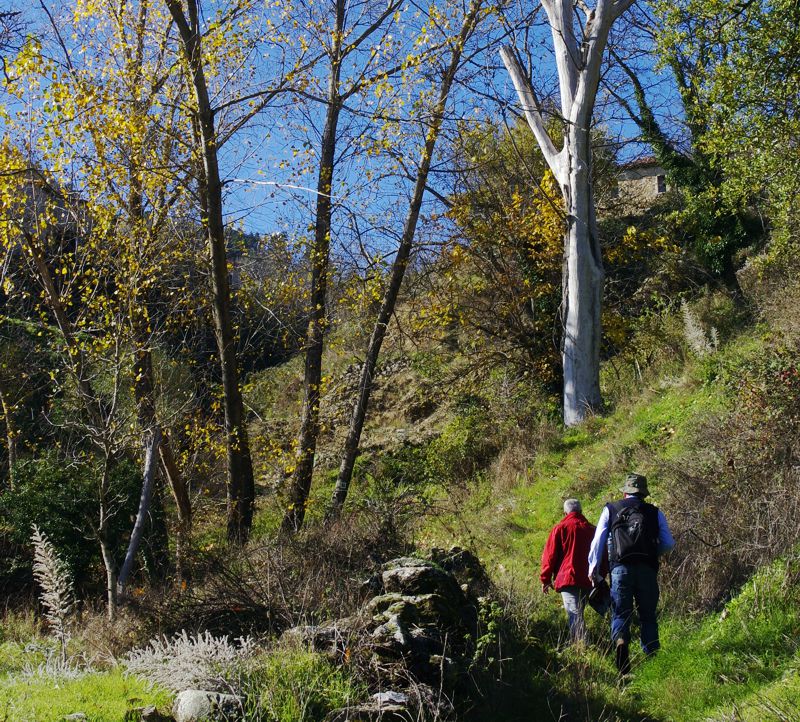 Climbing from Ela valley to Valtesiniko