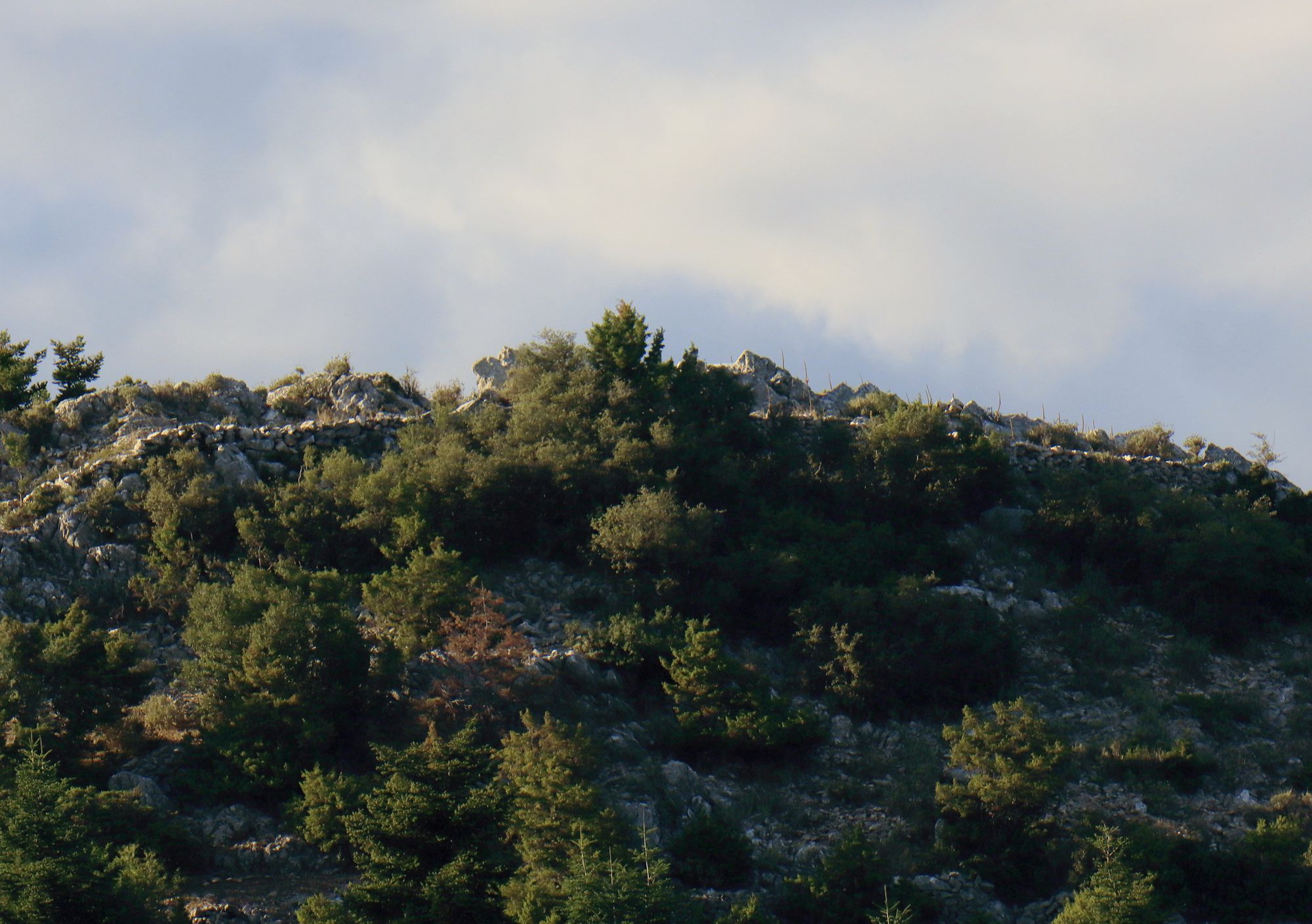 Κάστρα και ακροπόλεις του Μαινάλου