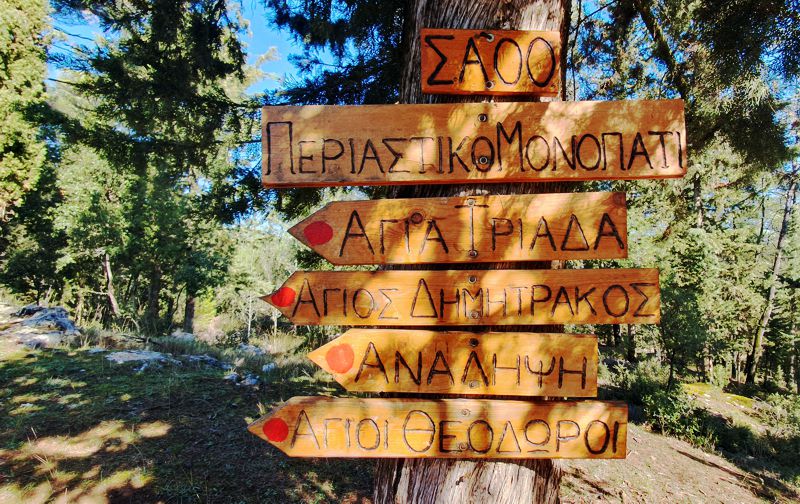 Tripolis Trails: Κύκλος Άλσος Αγίου Γεωργίου-Ανάληψη