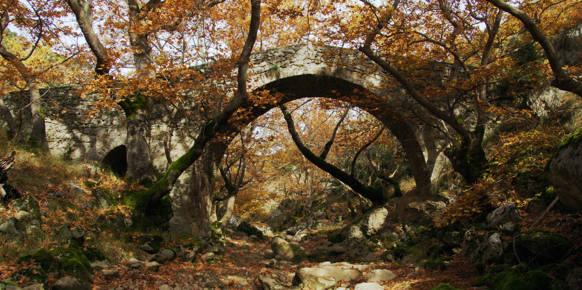 Βυτίνα: Κύκλος στο Ζαρζί