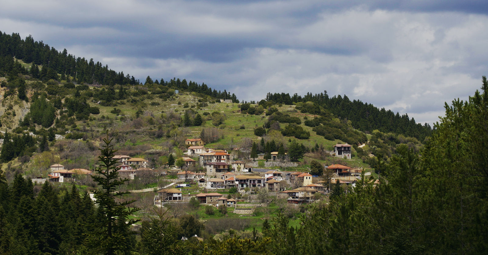 Η Ελάτη (Γαρζενίκος)