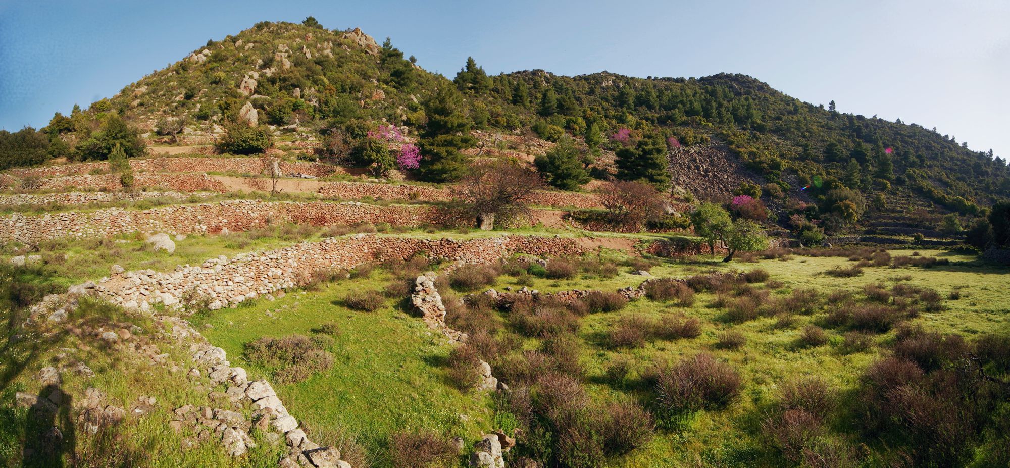 Methana landscape: a mosaic of shrubland, pine stands and crops