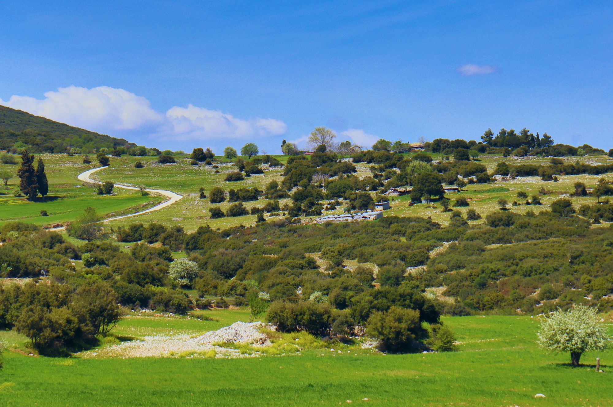 Μυκήνες topoguide: Το μωσαϊκό βραχώνων, φρυγάνων και καλλιεργειών