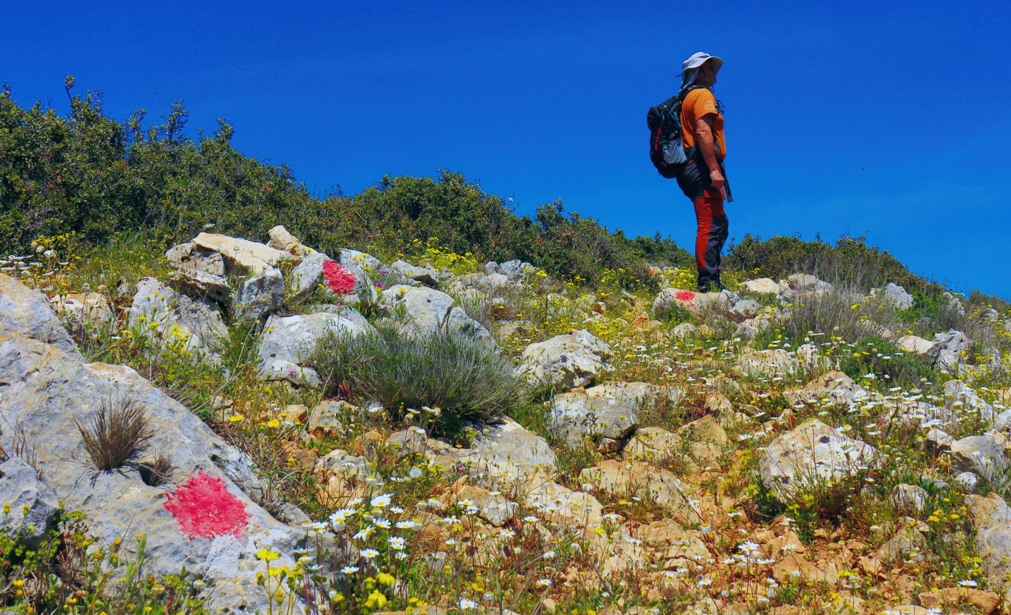 ΣOn the Agionori-Klenia trail