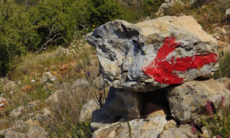 Πεζοπορία στις Μυκήνες: Αγιονόρι-Κλένια