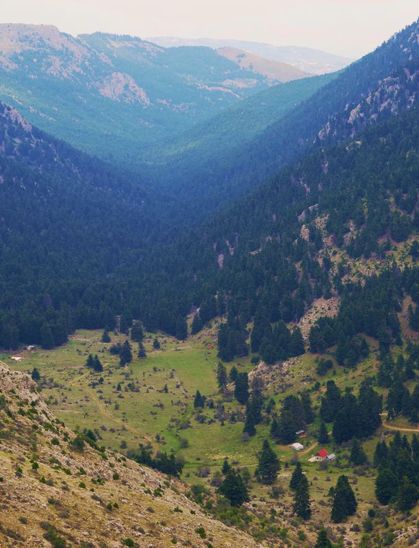 Ζήρεια topoguide: Φλαμπουρίτσα Ζήρεια topoguide