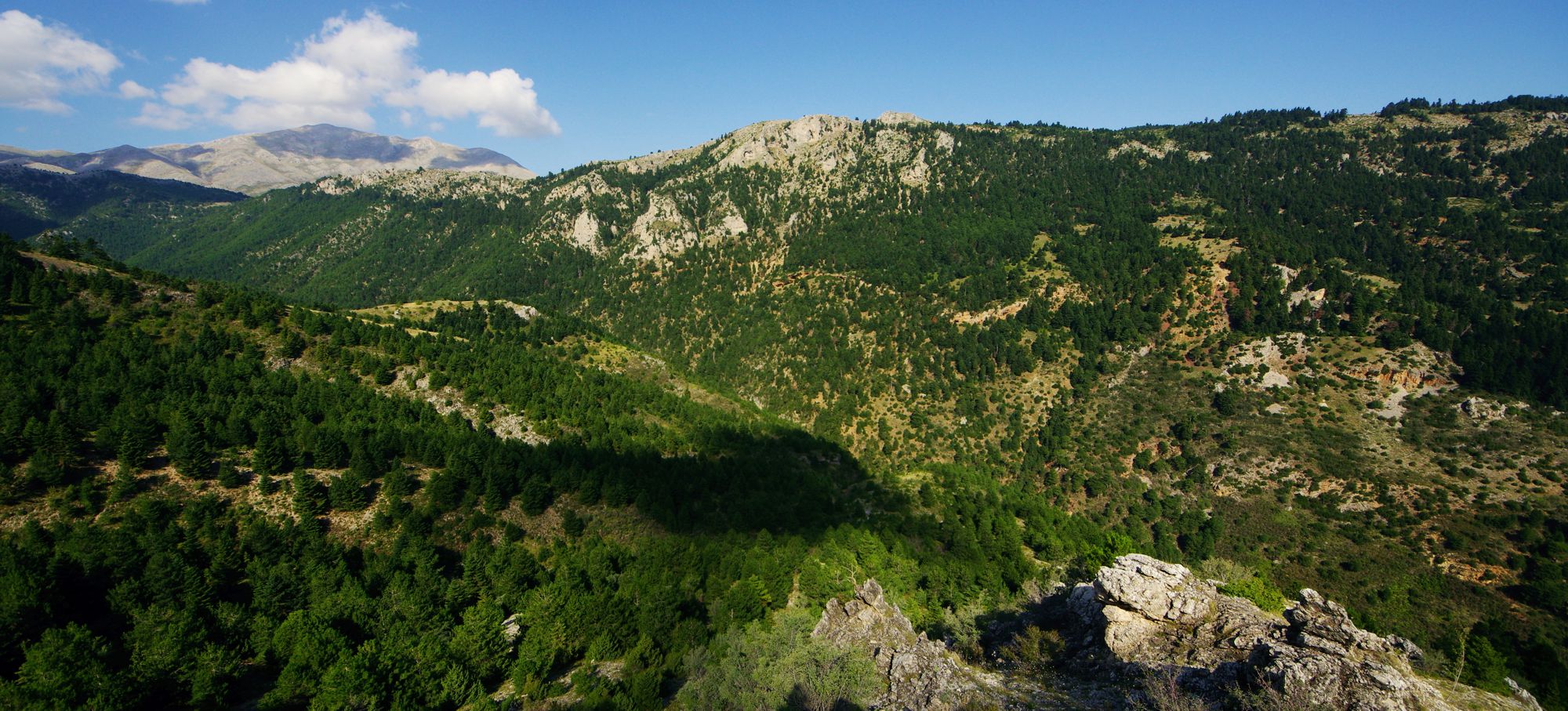 Η χαράδρα της Φλαμπουρίτσας