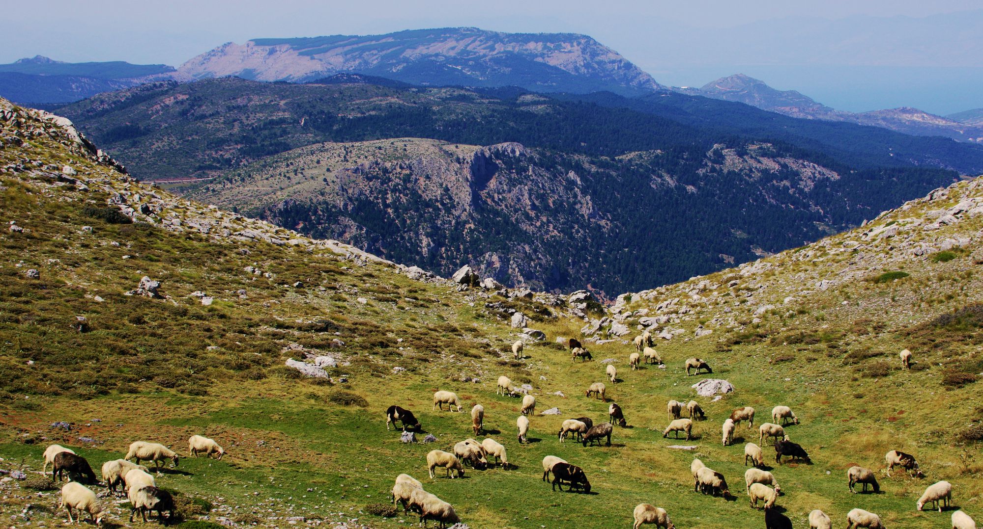 Στην καρστική λεκάνη κάτω από το Χιόνι