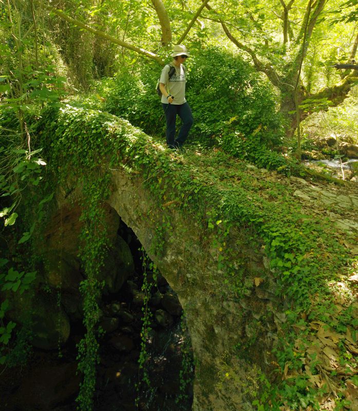 Αρκαδικά Μονοπάτια topoguide