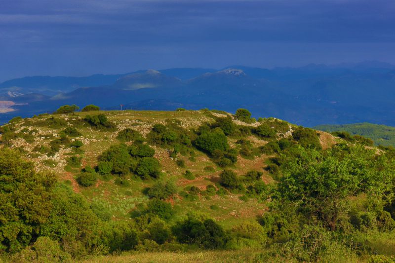 Αρκαδικά Μονοπάτια topoguide