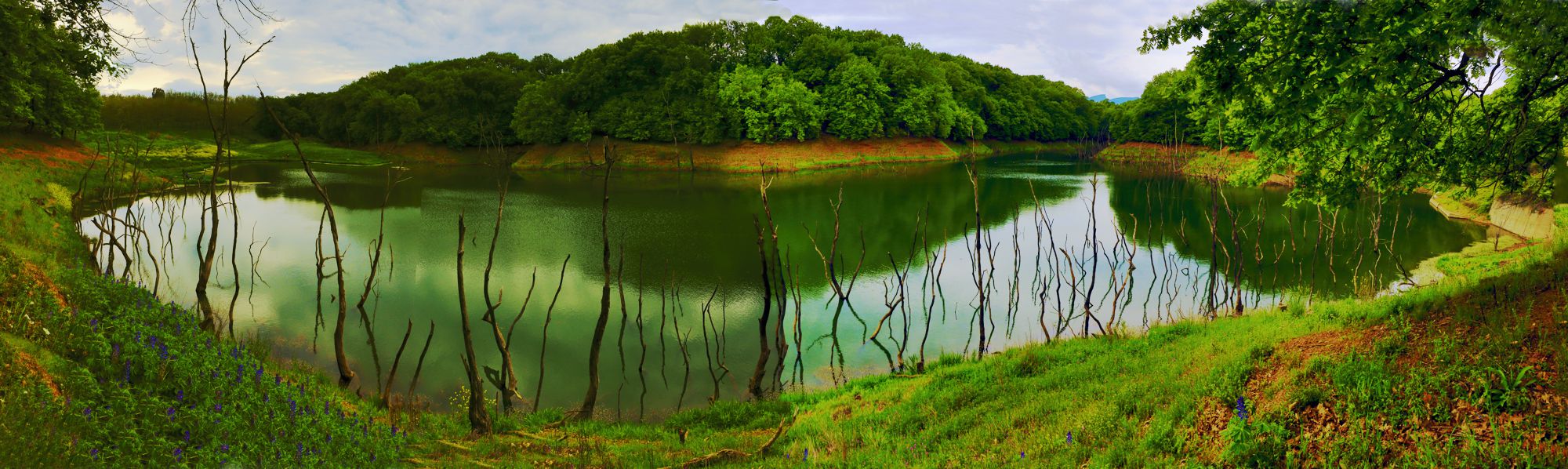Βλάστηση του Λύκαιου: Λίμνη στα Καμπιά του Αγίου Σύλλα