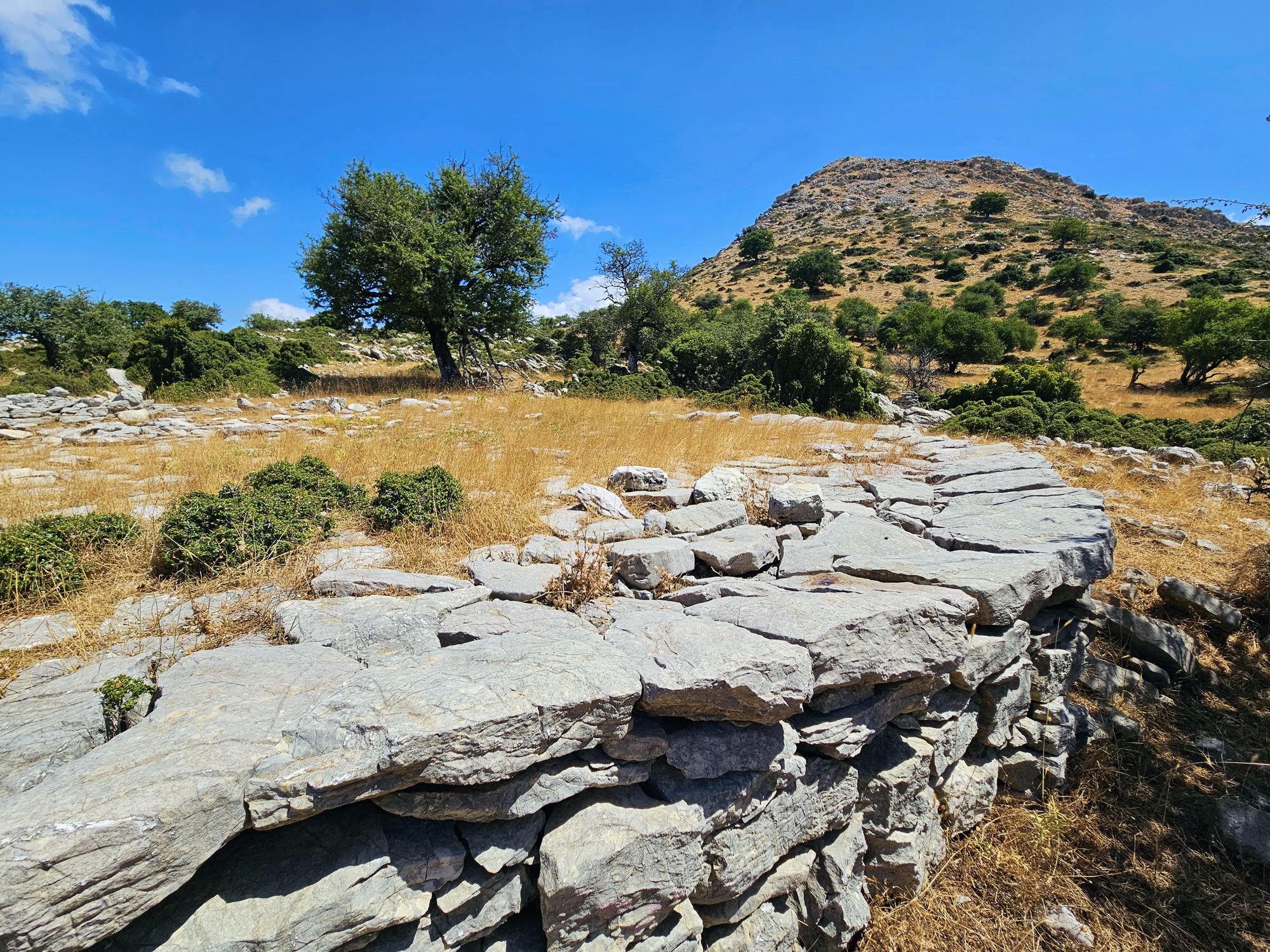 Μίνθη: Διαδρομή Λινίσταινα-φρούριο Κρεπακόρε