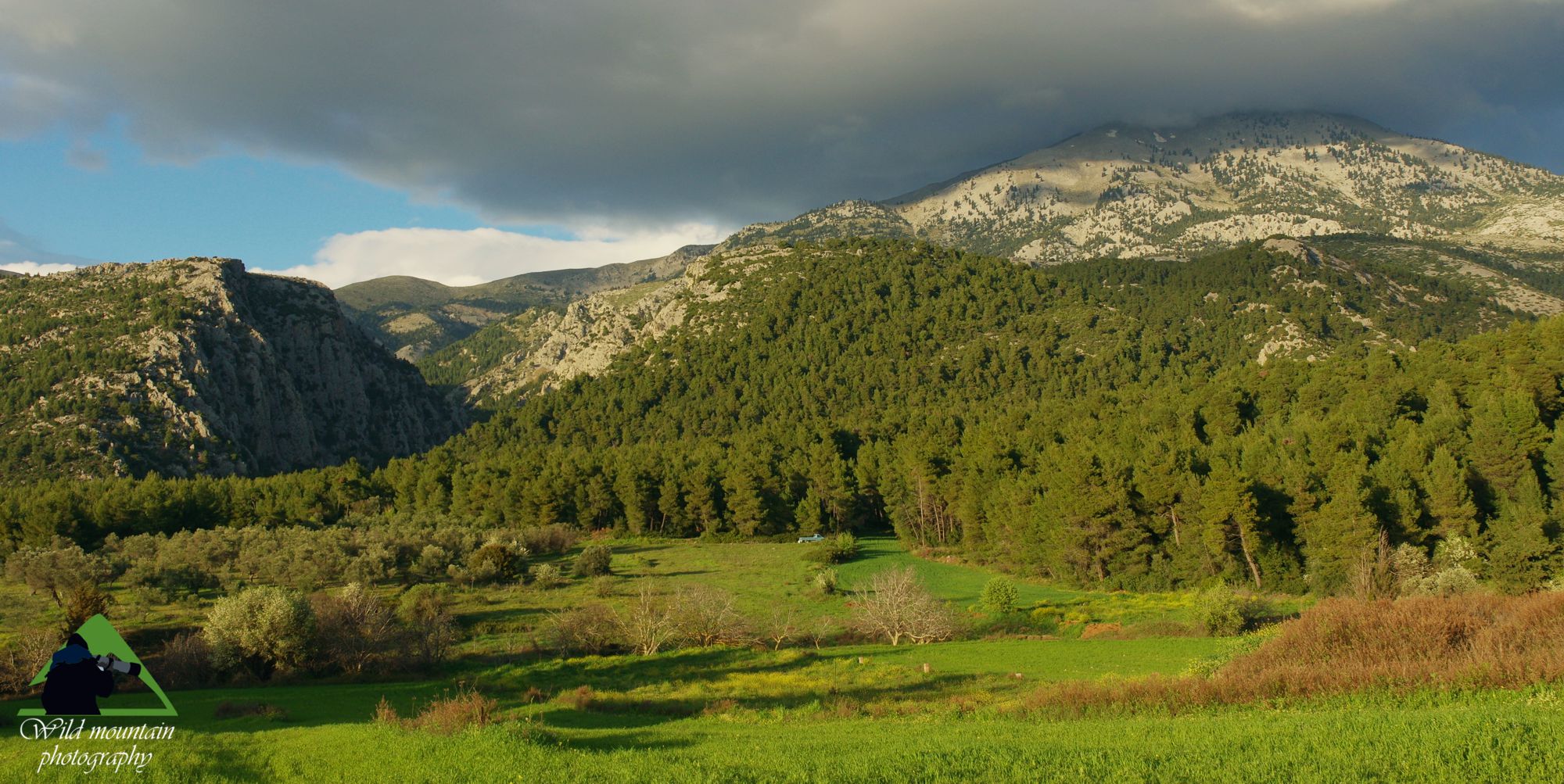 Οι βιότοποι της Δίρφυος: Εναλλαγή λιβαδικών και δασικών πόρων, ορθοπλαγιών και ορεινών πετροπλαγιών στο φαράγγι της Αγάλης