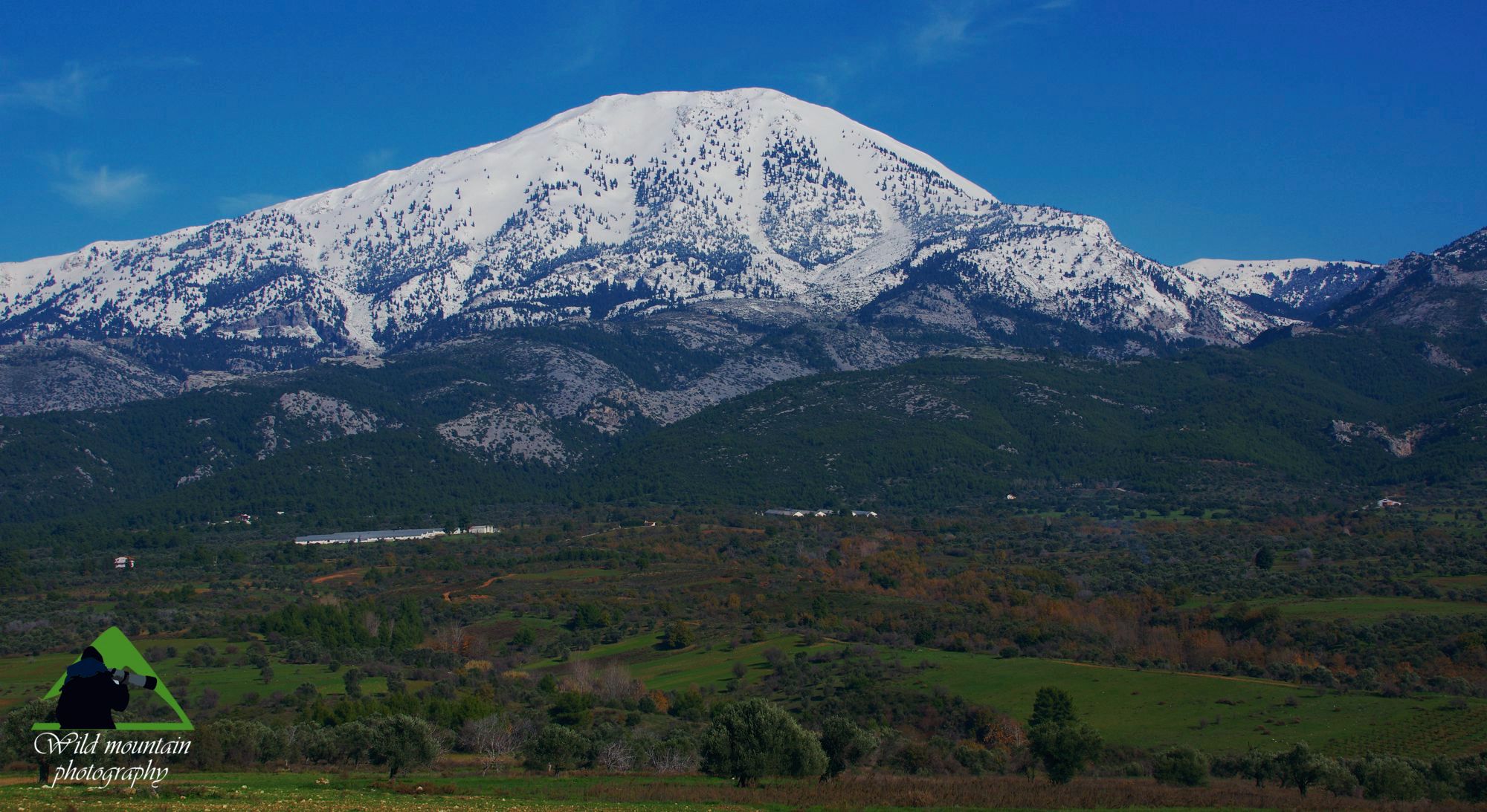 Οι βιότοποι της Δίρφυος: Η Δίρφυς (1743 μ.) δεσπόζει ενός μωσαϊκού παράκτιων, ημιορεινών και ορεινών βιοτόπων