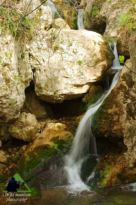 Κεντρική Εύβοια/Δίρφυς topoguide