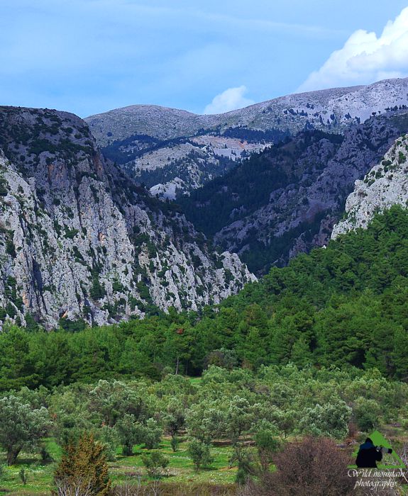 Το Φαράγγι της Αγάλης Δίρφυς topoguide