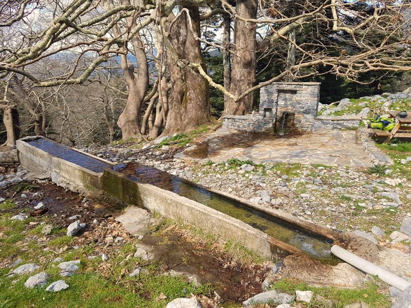 Πηγές και κρήνες της Δίρφυος: Η πηγή Κράτεια Δίρφυς topoguide