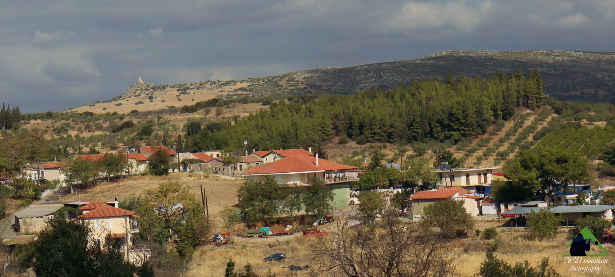 Οι βιότοποι του Ελικώνα: Εναλλαγές ελαιώνων, οπωρώνων, αναδάσωσης Χαλεπίου πεύκης και πετρότοπων ανάμεσα στο Νεοχώρι και τον πύργο του Τερμησσού