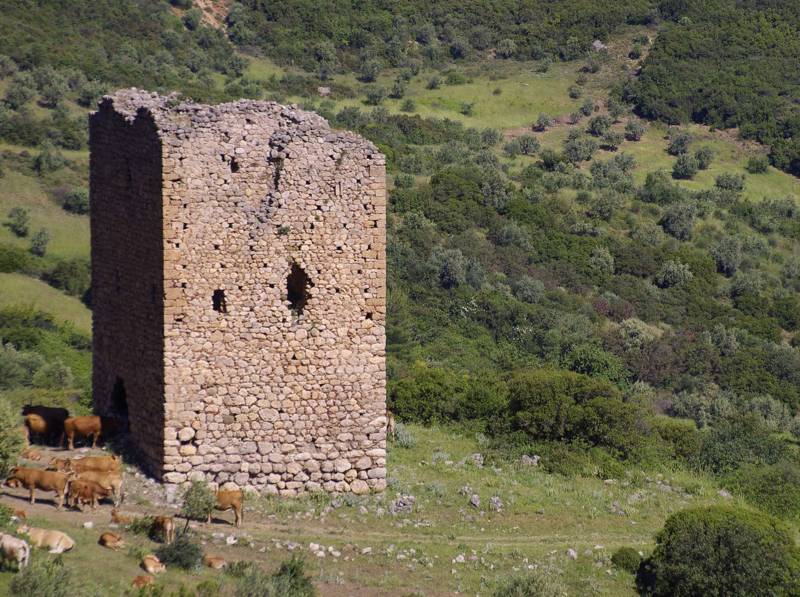 Ελικώνας topoGuide: Ο πύργος Υψηλάντη, πάνω από το ομώνυμο χωριό