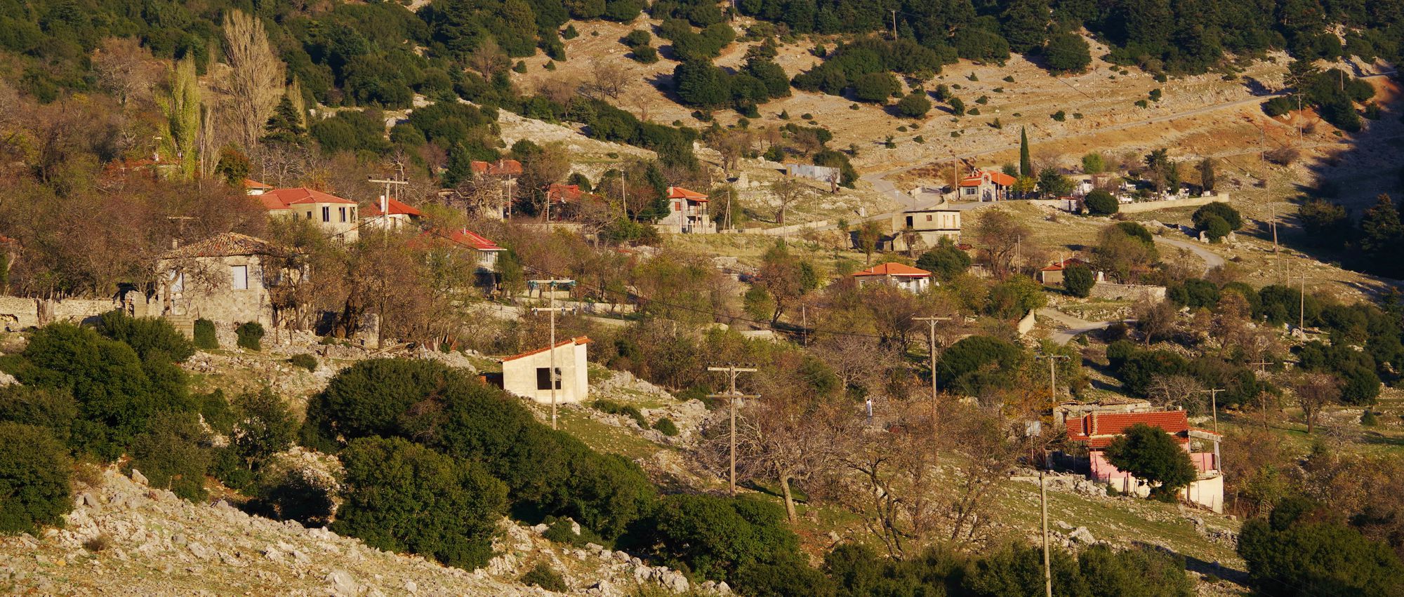 Οι Καρούτες