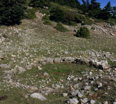 Ο22 Ζεμενό-Δίστομο