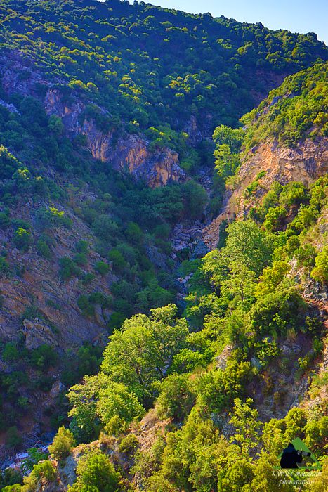 Βόρεια Εύβοια topoguide