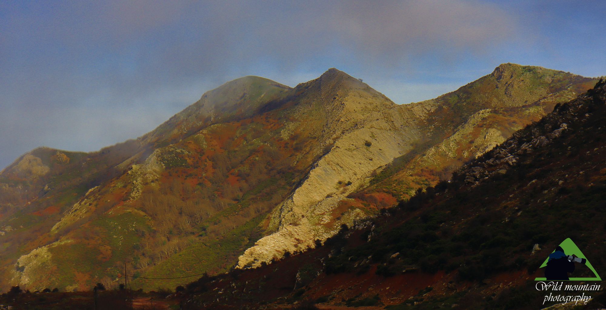 Οι βιότοποι της Νότιας Εύβοιας: Η Όχη είναι ένα από τα λίγα βουνά που οι ερικώνες και οι φρυγανότοποι ξεπερνούν τα 1000 μ. υψόμετρο και φτάνουν μέχρι τις κορυφές