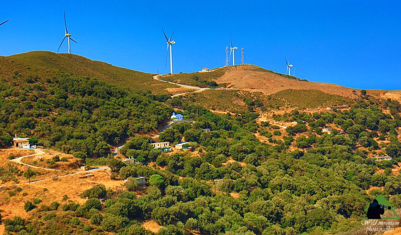 Τα χωριά του Καβοντόρο: Η Σχίζαλη. Φωτό: Σ. Αδαμακοπούλου Νότια Εύβοια topoguide