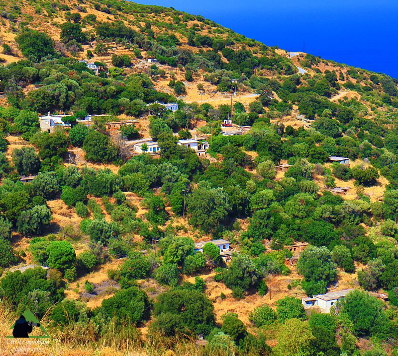 Τα χωριά του Καβοντόρο: Το Θύμι Νότια Εύβοια topoguide