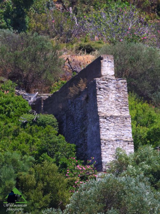 Νότια Εύβοια topoguide