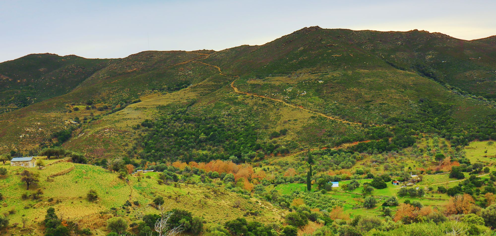 Βλάστηση της Νότιας Εύβοιας: Το τοπίο του Πλατανιστού, στην περιοχή της αρχαίας Γεραιστού