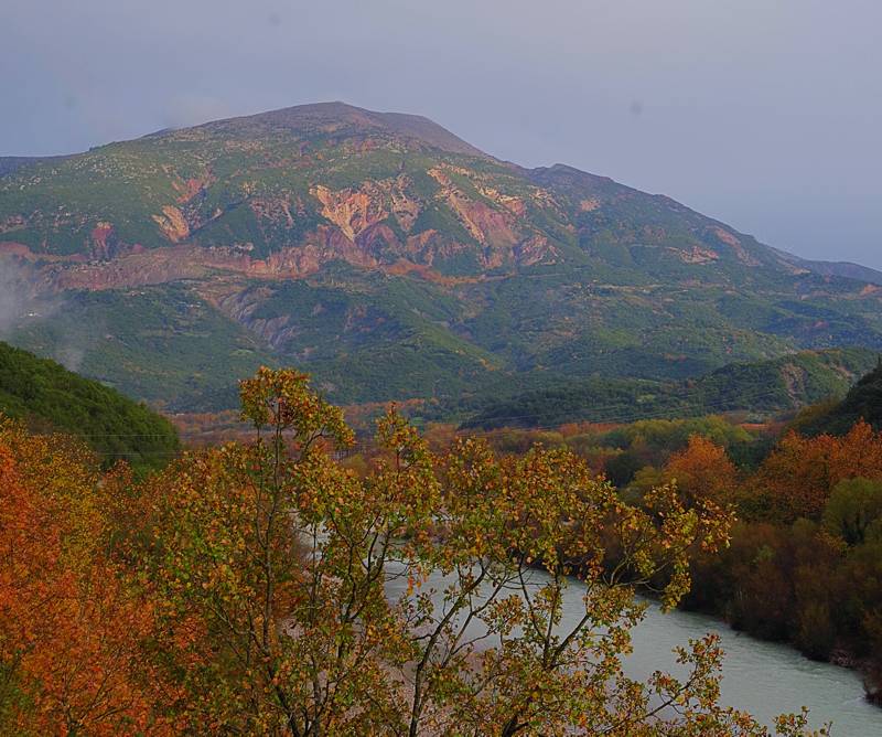 Ριγάνι